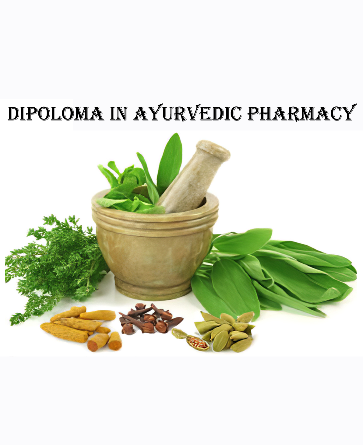 Diploma in Ayurvedic Pharmacy