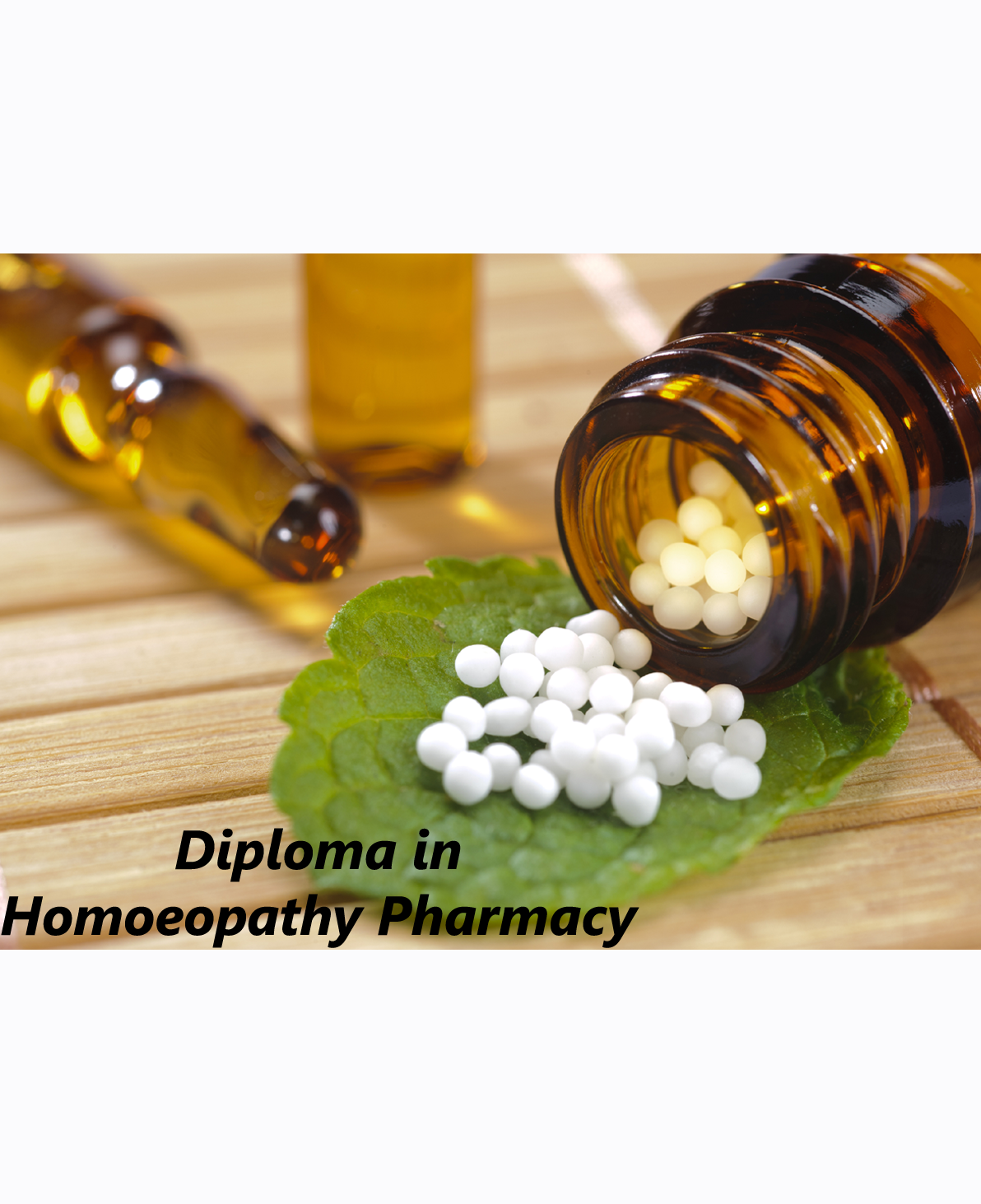 Diploma in Homeopathy Pharmacy